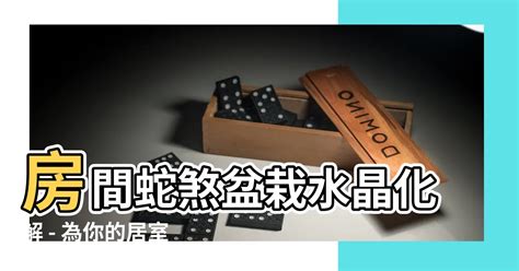 房間蛇煞化解|居家風水｜住得更健康！運勢自然好！主臥室必看的15 